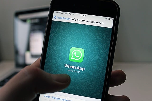 Confira 8 novidades do WhatsApp lançadas em 2024 que você precisa conhecer