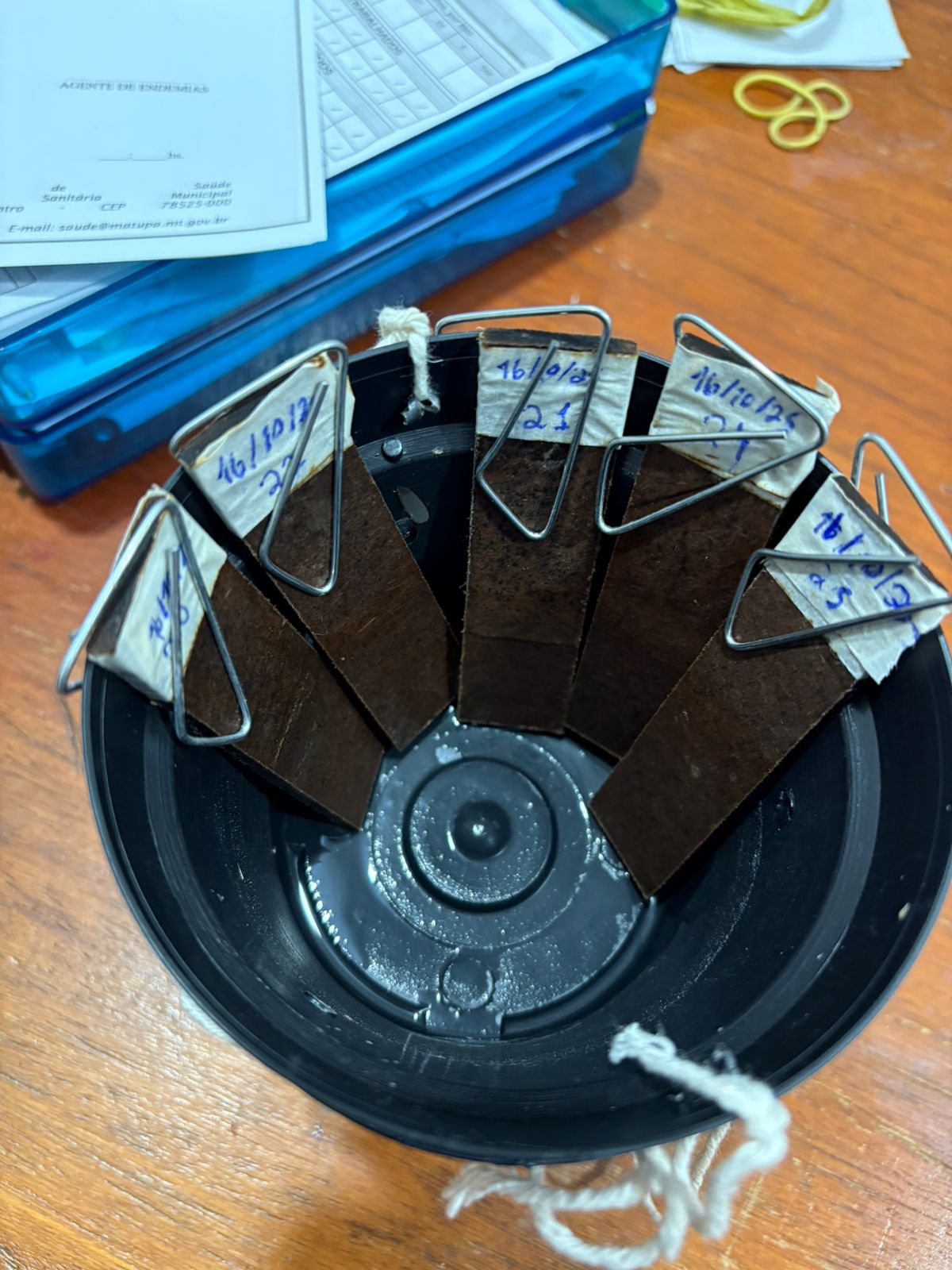 Combate à Dengue em Matupá: Vigilância Intensifica Ações e Pode Aplicar Multas