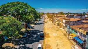 Bairros com árvores registram temperaturas até 30 % mais baixas que áreas de concreto