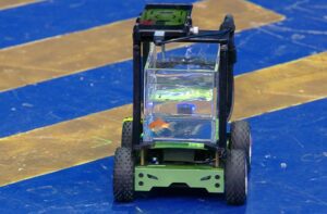 Peixe “dirige” carro por 12 metros e entra no Guinness