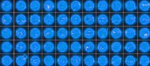 Mais de 1.200 explosões estelares compõem catálogo histórico