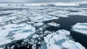 Enquanto reclamávamos do frio e da chuva, no Ártico a realidade é diferente: tem menos gelo do que em toda a sua história