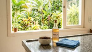 Conheça a técnica dos 3 bloqueios que mantém formigas longe da sua cozinha