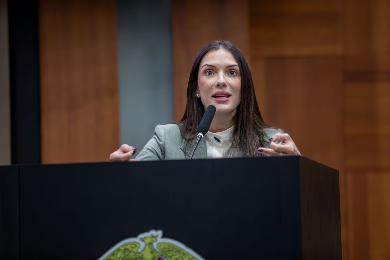 Janaina Riva cobra explicações da Sema sobre acordo que restringe biomassa no setor de etanol de milho